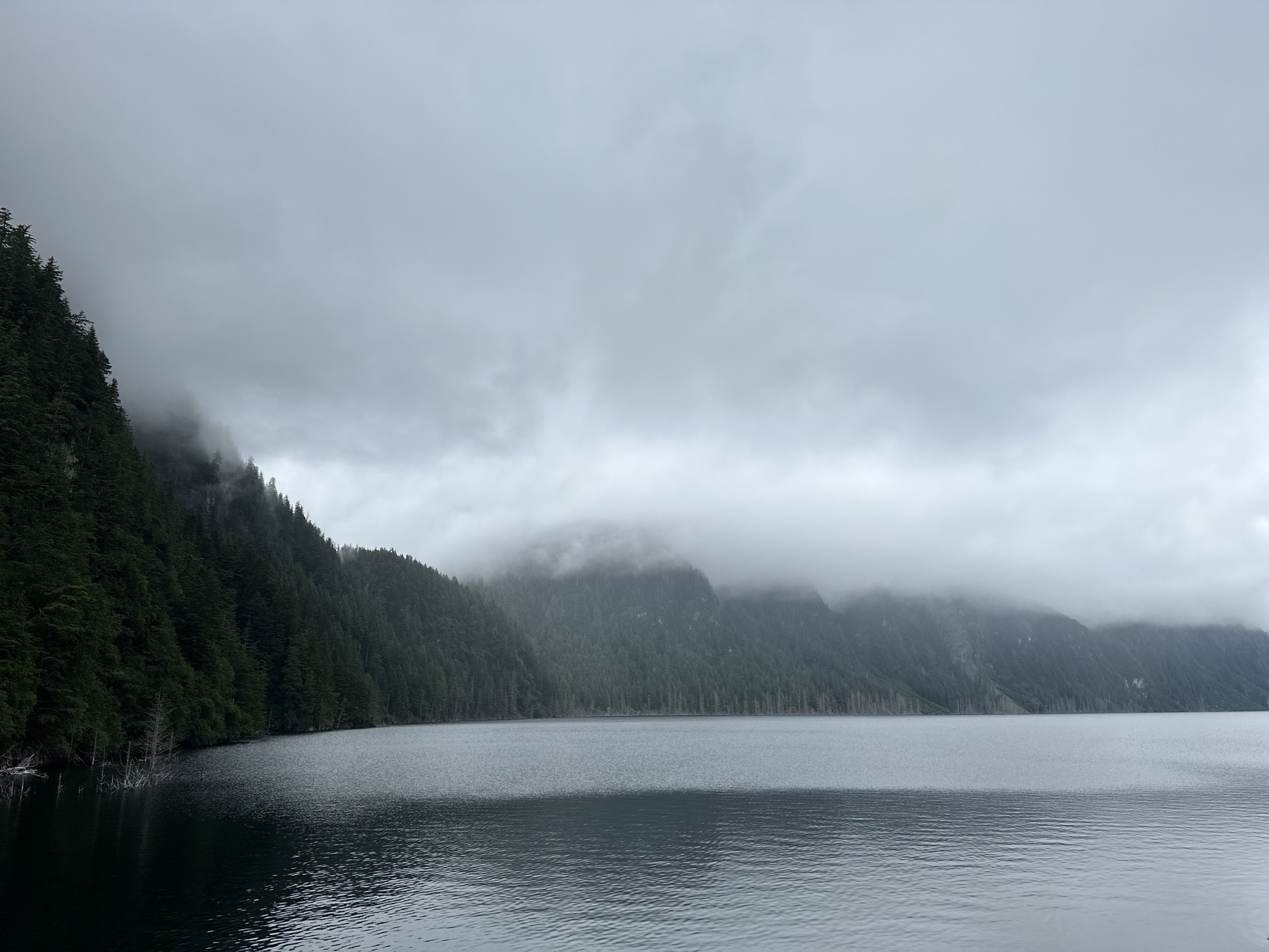 Low clouds over a still Sitka evergreen cove