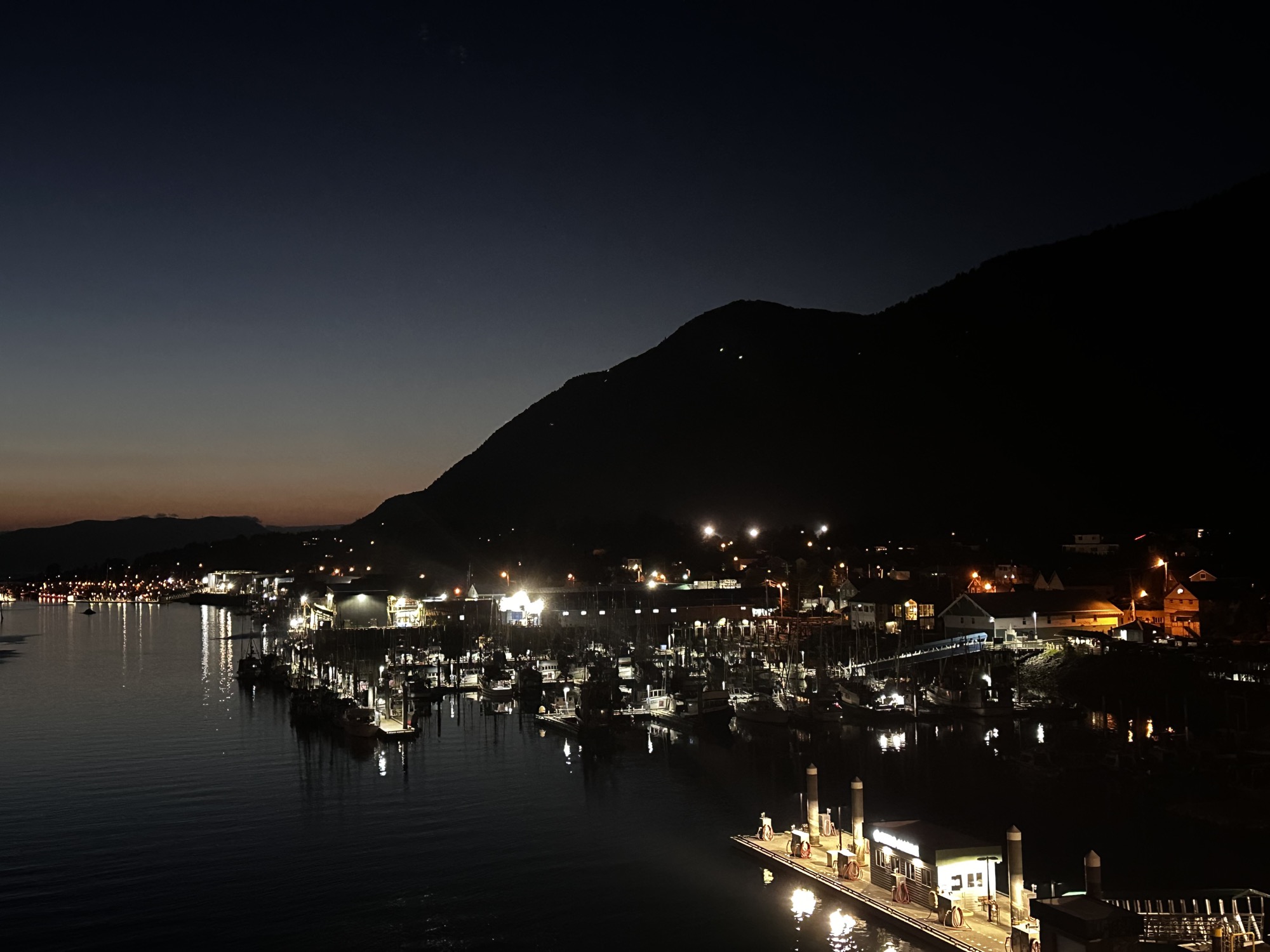 Sitka harbor at night from an overlook, dock lights along the waterfront