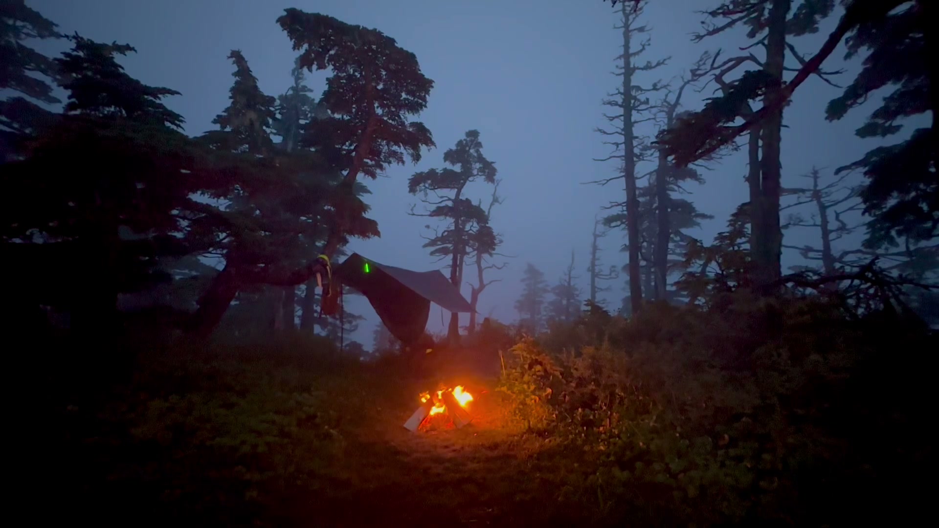 Campfire flickering at dusk in a foggy Sitka old-growth forest